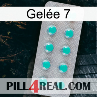 Gelée 7 28